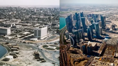 The Economic Transformation of Qatar: From Pearls to Petroleum