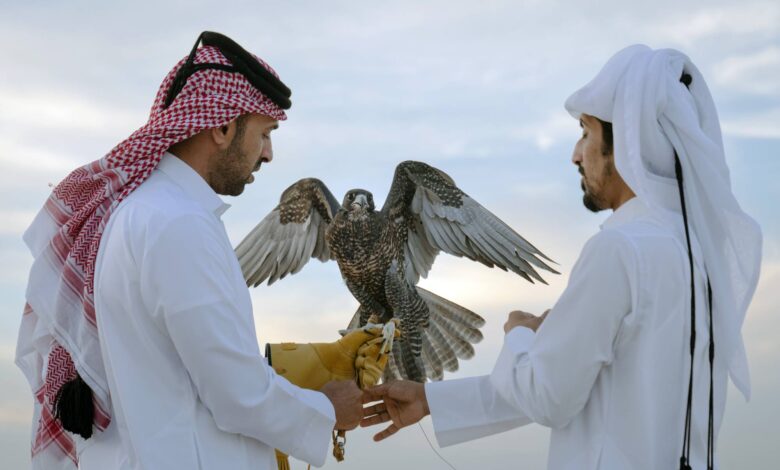 how falconry remains a celebrated sport in Qatari tradition
