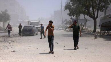 وزير الخارجية المصري يدعو إلى وقف العدوان الإسرائيلي على غزة خلال اتصال مع المبعوث الأمريكي الخاص